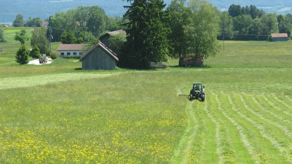 Wiesenmahd in Dießen - Blick auf eine halbgemähte Wiese mit Traktor
